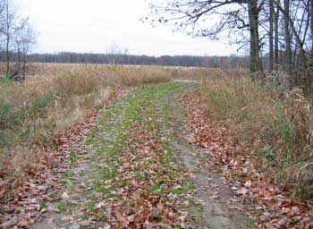 Figure 2. View driving from field down 2-track road to main road.