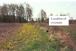 Figure 5. Mowed path to woodlot.
