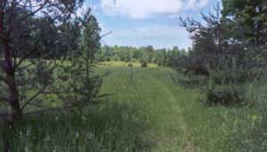 Photo 2. Path in field next to hill.