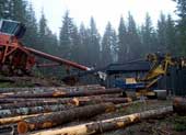Yarder tower and a delimber
