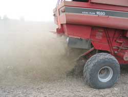 Photo 4. Combine processing seed.