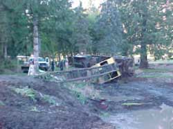 Photo 1. Boom crane on its side near fishpond.