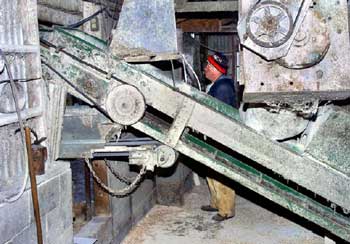 Photo 4 &ndash; View of conveyors from the doorway end of the shed, showing the farmer&rsquo;s normal work position, with the exposed ends of the horizontal conveyor at waist level.