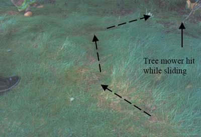 arrows showing direction of incident and tree hit