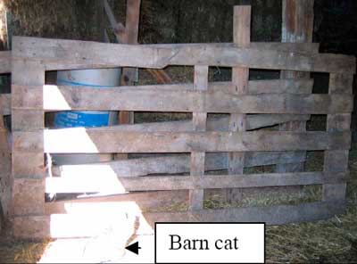 wooden gate