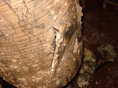 16-inch cut on pipe plug