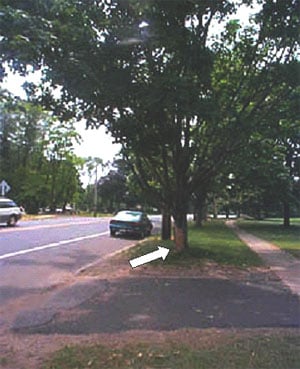 Photo 1.  Photograph Showing Site of Impact