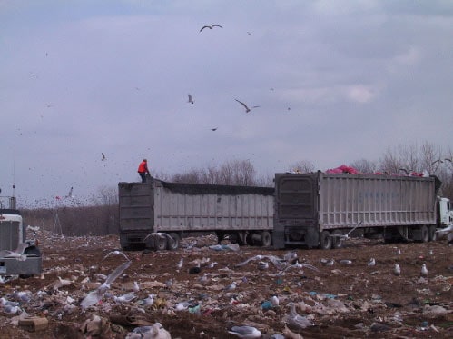 Photo 1.  MSW delivery trucks in the municipal landfill