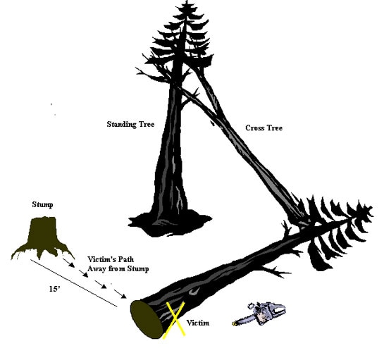 Figure 2. Forest Layout