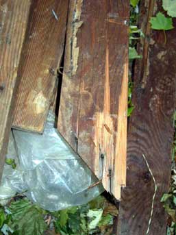 Photo 1. Damaged wood used to make the improvised scaffold.