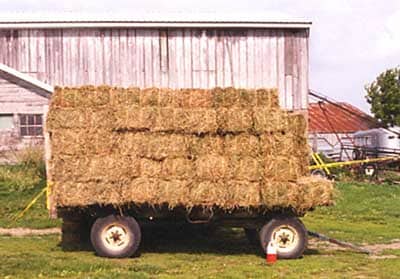 Photo 1 – Side view of the loaded hay wagon at rest on nearly flat ground in the farmyard.