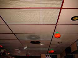 Figure 2. Ceiling panels in bar area.
