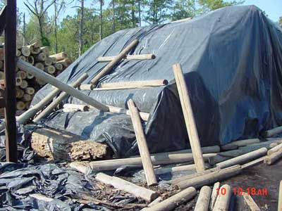 Stack of logs covered by a tarp