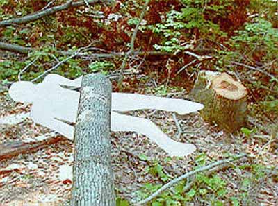 photo shows the final relationship between the stump, victim, and fatal energy source