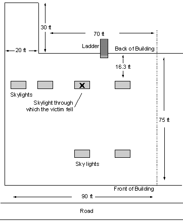 illustration of the layout of skylights on the L-shaped roof