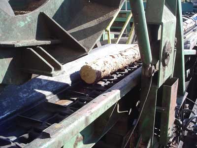 Conveyor moving logs into the south debarker.