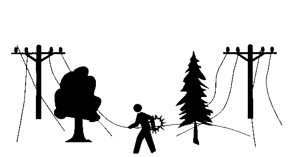 tree trimmer electrocution drawing