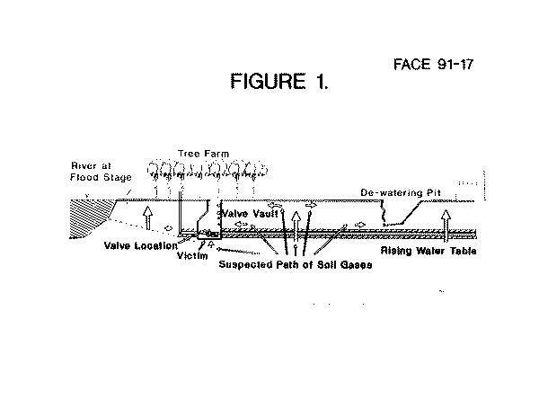 diagram of the suspected path of soil gases