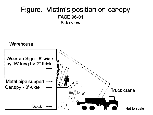 diagram of the victim's position on canopy