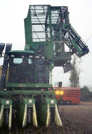 Cotton Picker Used in This Incident