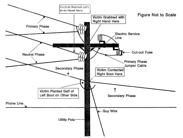 powerline safety