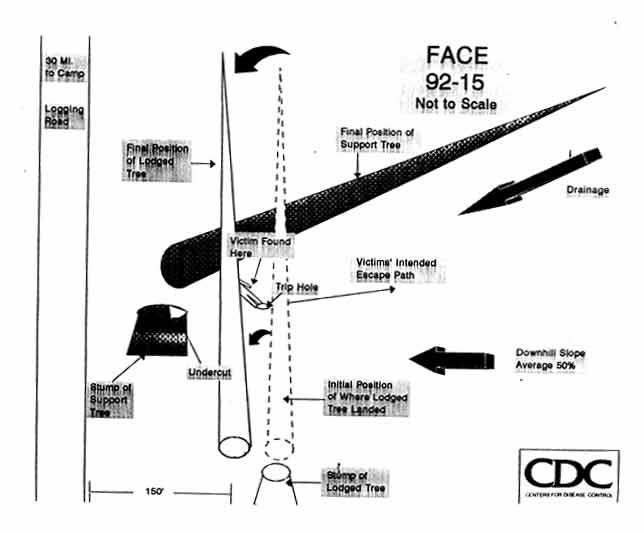 diagram of the incident scene