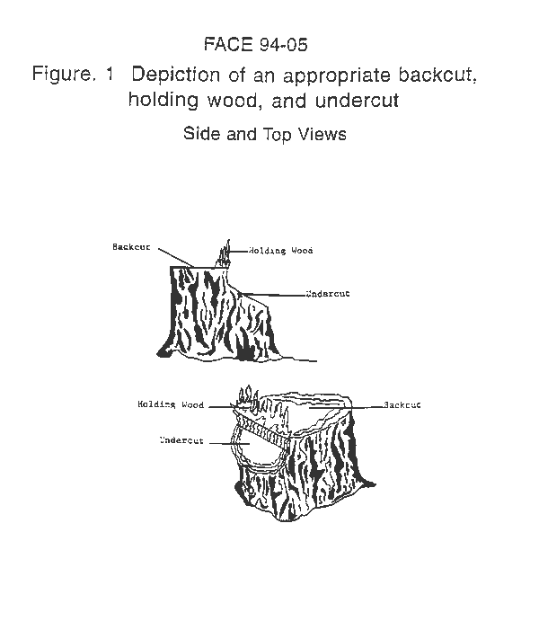 depiction of an appropriate backcut, holding wood, and undercut