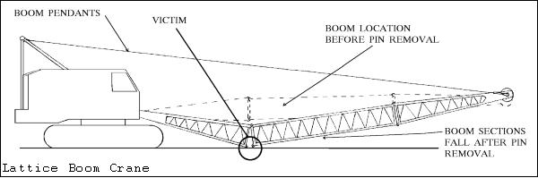 crane.gif (19940 bytes)
