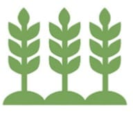 green plants icon