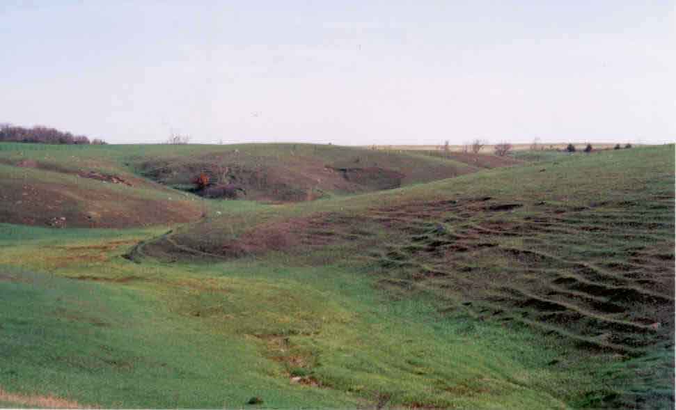 Front page photo.  Photograph of the incident site, showing the field where the wildland fire occurred.