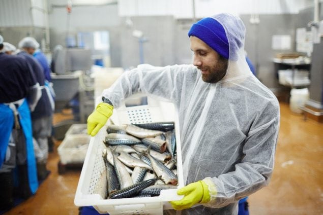 Seafood processing worker transporting fresh mackerel while the production line prepares fish in the background. 