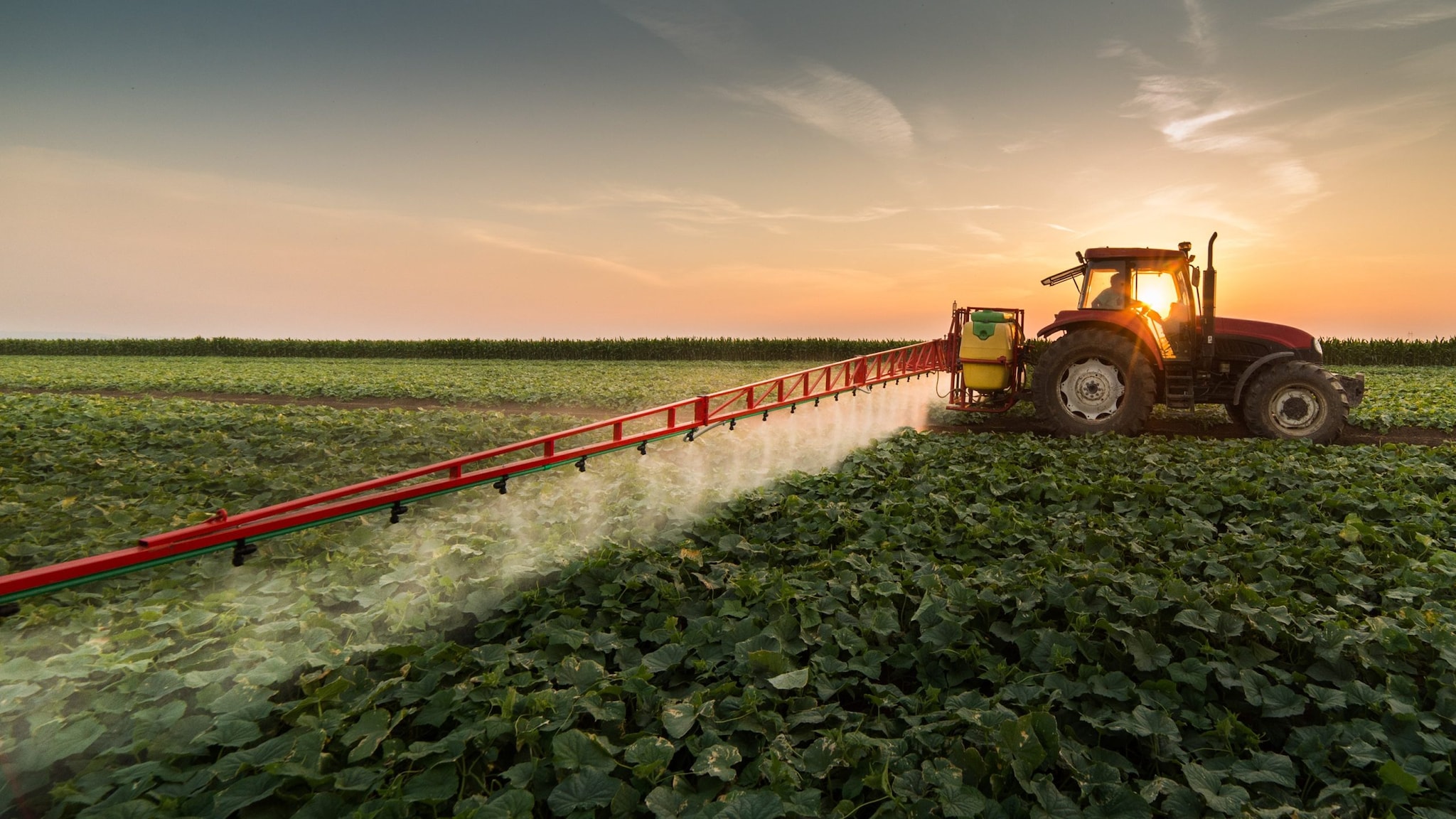 Tractor spraying pesticides on vegetable field with sprayer at spring. Photo by fotokostic/GettyImages