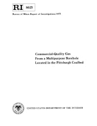 Image of publication Commercial-Quality Gas From a Multipurpose Borehole Located in the Pittsburgh Coalbed
