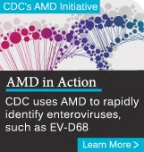 CDC's AMD Initiative. AMD in Action. CDC uses AMD to rapidly identify enteroviruses, such as EV-D68. Learn more.