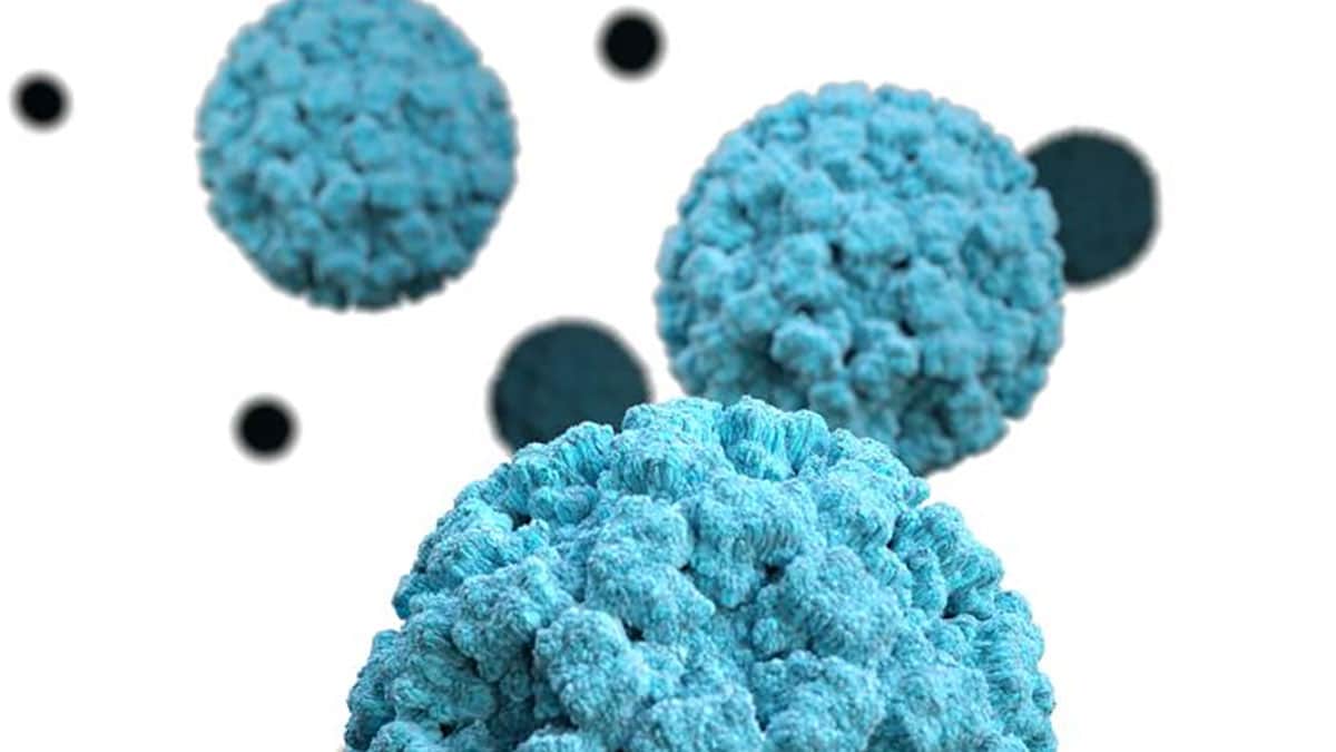 Based on electron microscopic (EM) imagery, this three-dimensional (3D) illustration provides a graphical representation of a single norovirus virion, set against a white background.