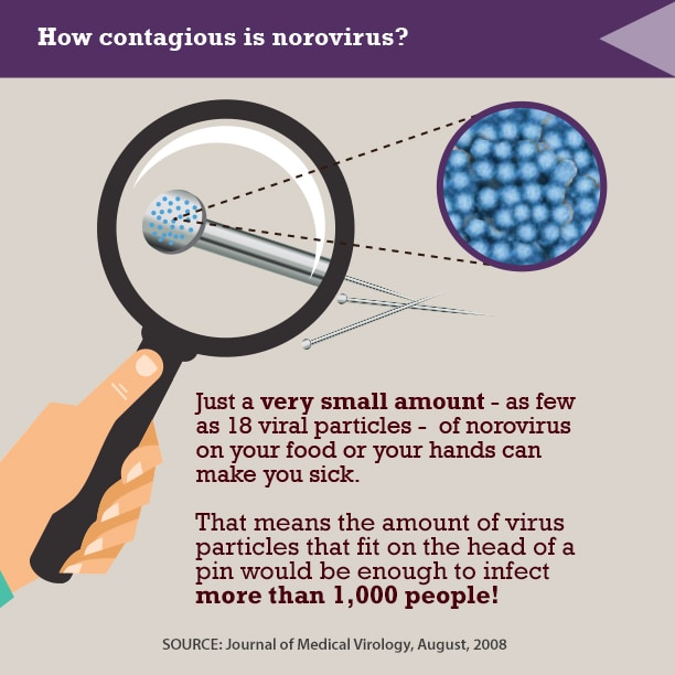 norwalk virus contagious