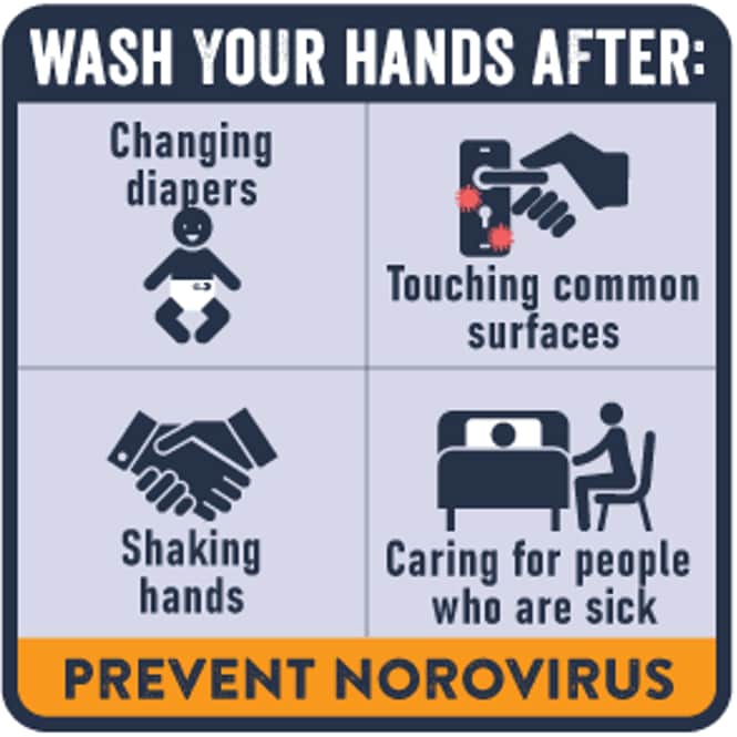 Wash your hands after changing diapers, touching common surfaces, shanking hands, caring for the sick. Prevent norovirus.