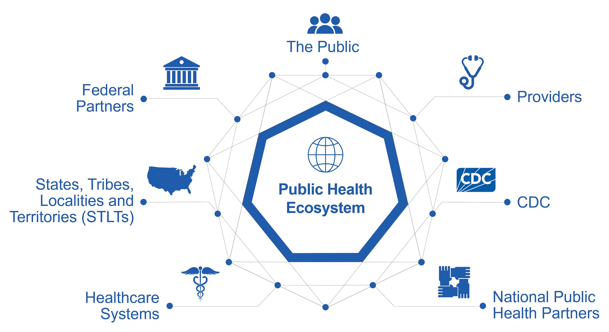 The Public Health Ecosystem has seven components.