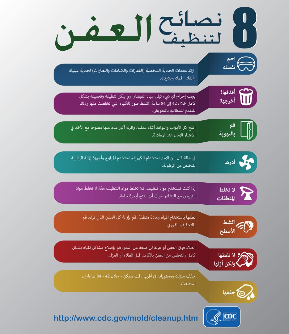 Mold Infographic Arabic