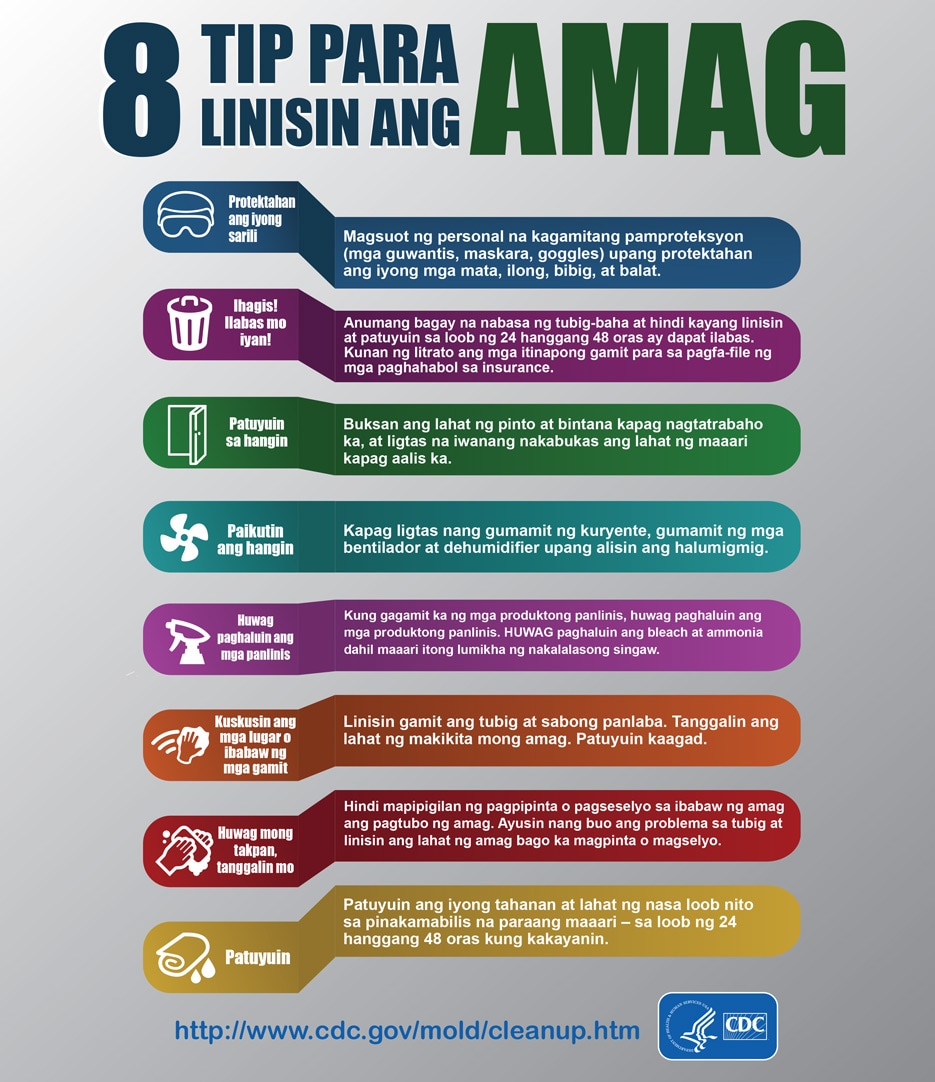 Mold Infographic Tagalog
