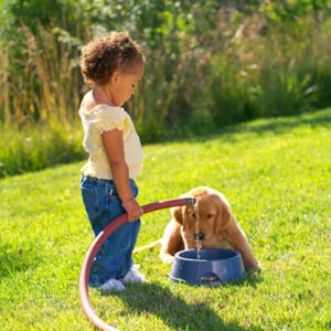 Regular veterinary care will protect your pet and your family.