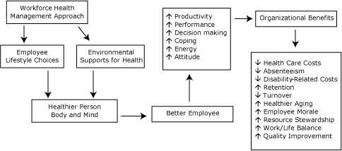 The figure is a flowchart describing how workforce health can affect the employee and the employer. In the Workforce Health Management Approach, there are 2 factors that can affect employee health: Employee Lifestyle Choices and Environmental Supports for Health. Both of these lead to a Healthier Person in Body and Mind. The Healthier Person in Body and Mind leads to a Better Employee. A Better Employee leads to 6 desired outcomes: increased productivity, increased performance, increased decision making, increased coping, increased energy, and increased attitude. These 6 outcomes lead to Organizational Benefits: decreased health care costs, decreased absenteeism, decreased disability-related costs, increased retention, decreased turnover, increased healthier aging, increased employee morale, increased resource stewardship, increased work/life balance, and increased quality improvement.