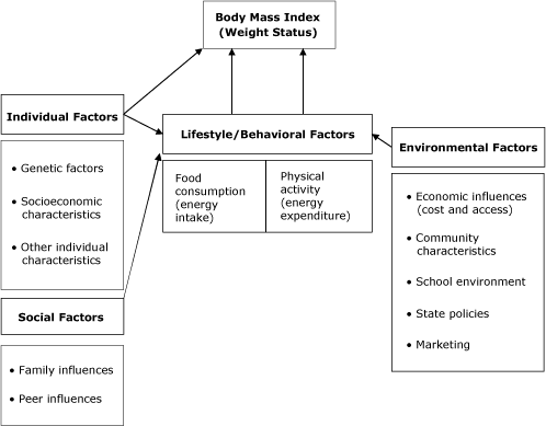 This figure illustrates that body mass index is influenced by lifestyle/behavioral factors (food consumption and physical activity), which are in turn influenced by individual factors (genetic, socioeconomic, and other individual characteristics), social factors (family and peer influences), and environmental factors (economic influences, community characteristics, school environment, state policies, and marketing). Body mass index is also independently influenced by individual factors.