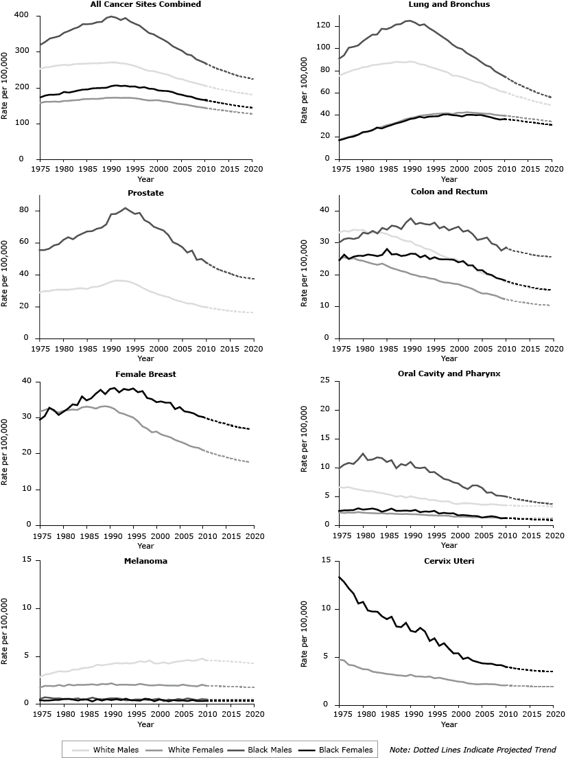 Trends in deaths from all cancers combined attributed to population risk (including diagnostic and treatment practices), growth, and aging (1975–2009), by sex and race (white, black). 
