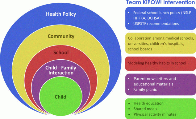 Team KiPOW! model. Components of the Team KiPOW! intervention and its multiple levels of interaction. KiPOW! is based on a socio-ecological model of health promotion and was developed with existing health policy in mind. Abbreviations: DCHSA, District of Columbia Healthy Schools Act 2010; HHFKA, Healthy Hunger-Free Kids Act; NSLP, National School Lunch Program; USPSTF, US Preventive Services Task Force.