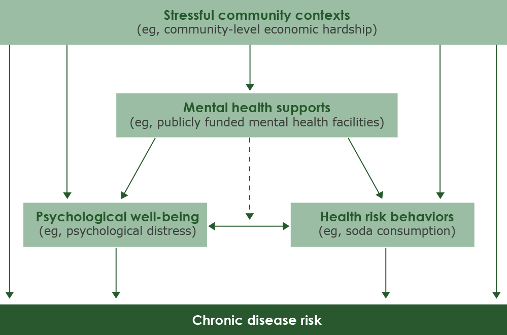 Conceptual model of possible relationships among factors that can influence chronic disease risk.