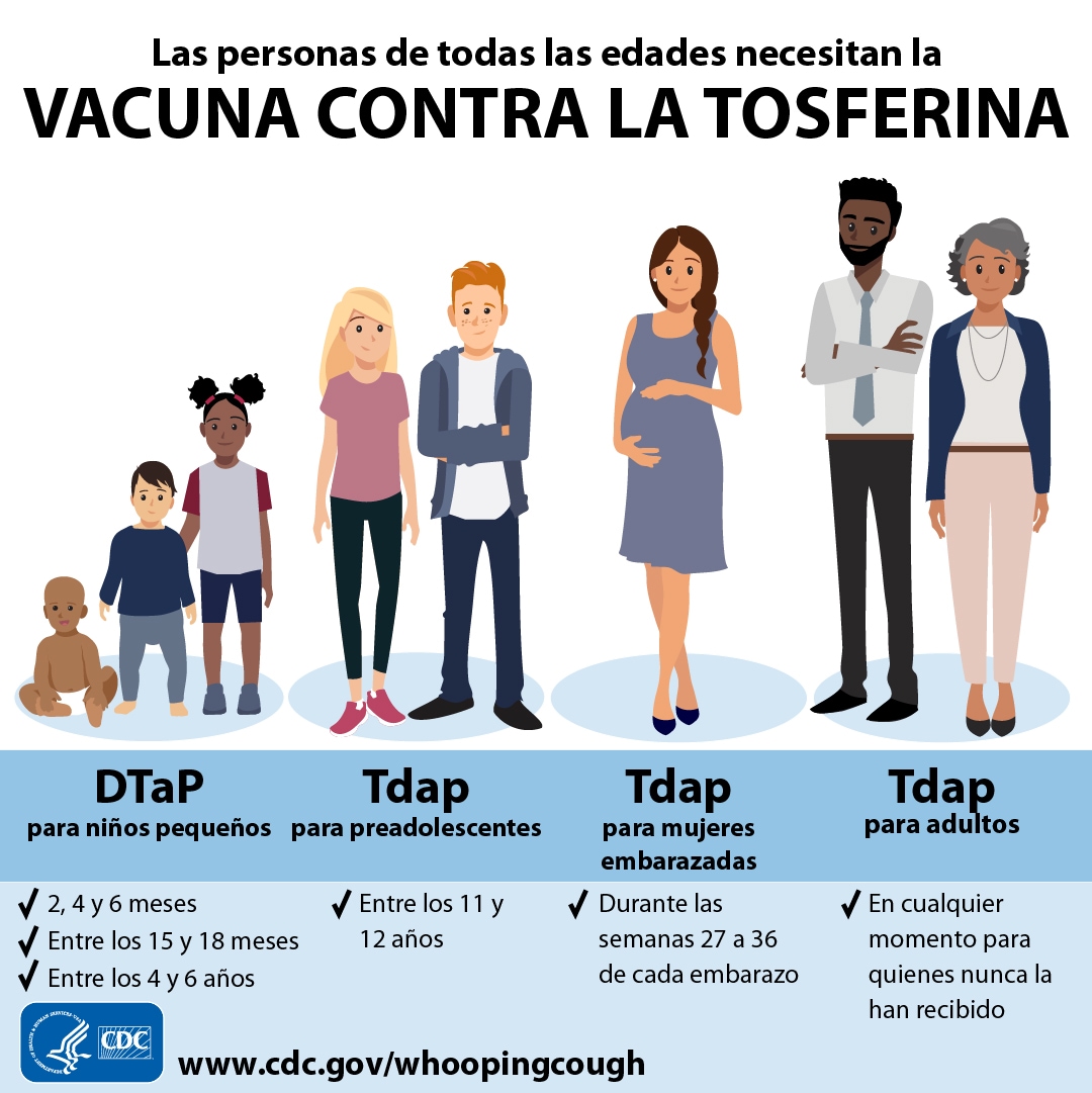 Gráfico que muestra a niños pequeños, preadolescentes, mujeres embarazadas y adultos, todos los cuales necesitan vacunas contra la tos ferina.