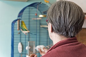 Man cleans bird cage