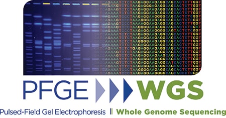 Pulsed-Field Gel Electrophoreses versus Whole Genome Sequencing