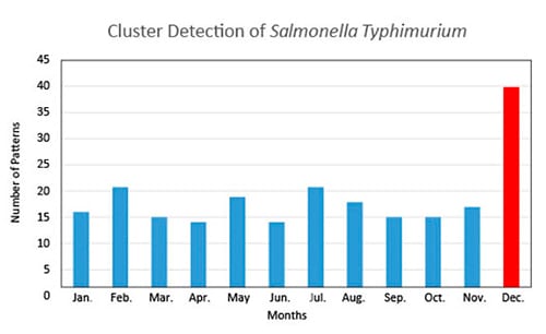 The graph shows groups of matching patterns, or clusters, of a common serotype of Salmonella over a year in the United States. 